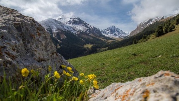 4-day Horseback Tour in Kungey Alatau