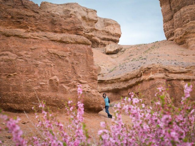 Charyn_Canyon_Almaty_Region (121)