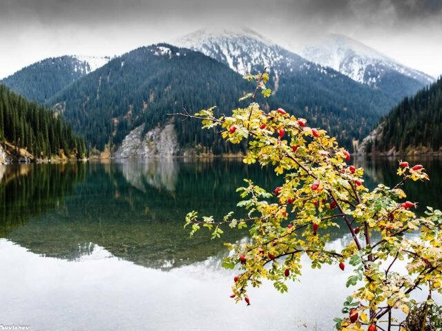 0. Kolsay_lakes_Almaty_region (17)