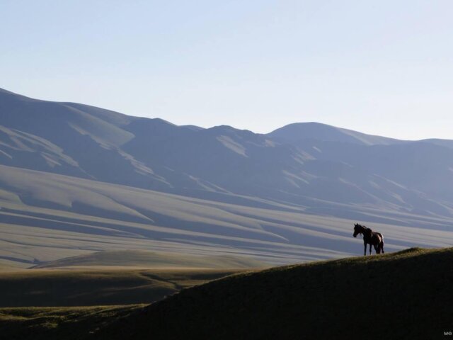Asa_Plateau_Almaty_region (16)