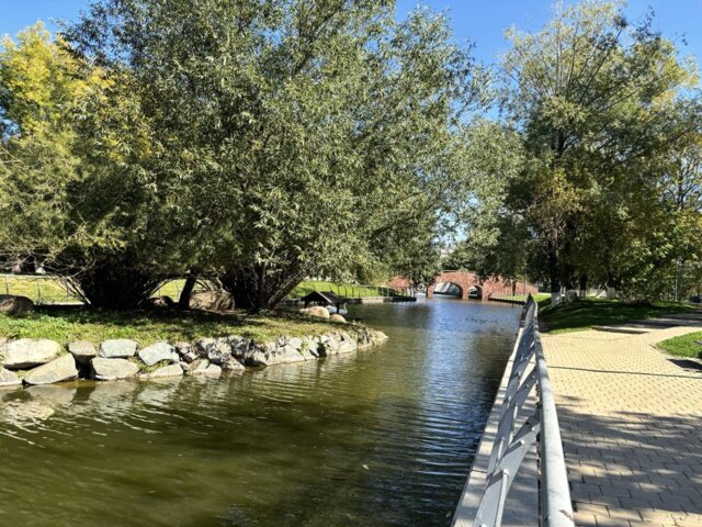 IMG_0451 — крупный размер