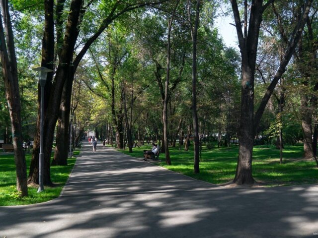 pexels-visit-almaty-10272029 Large