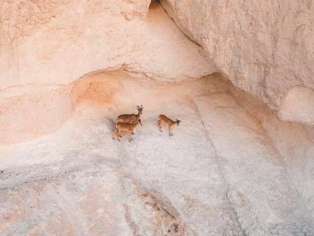 0. Mangystau_region (38)