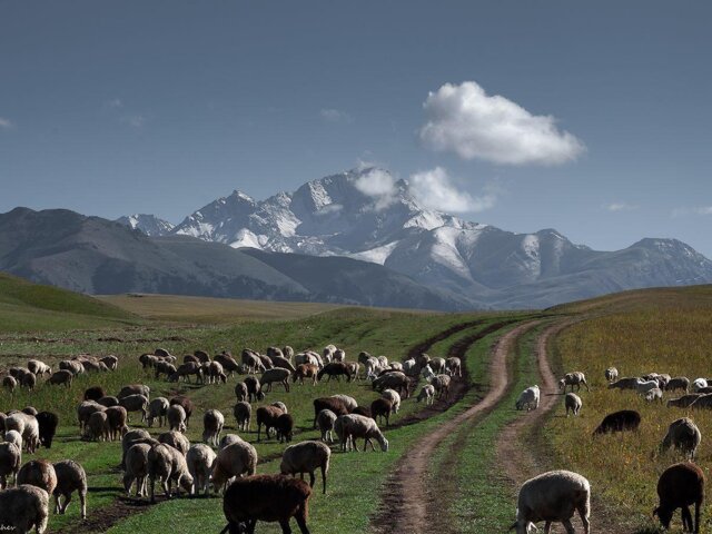 asa-plateau-almaty-region-(13)