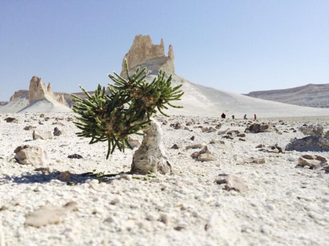 0.-bozzhira-tract-mangystau-region-(27)