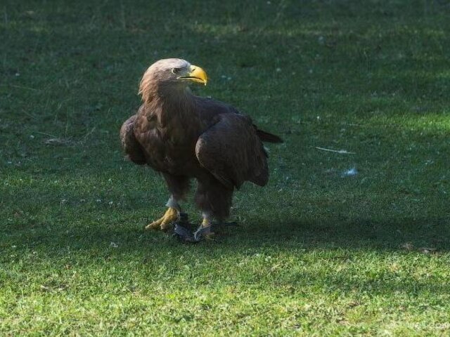 nursery-sunkar-almaty-city-(3)