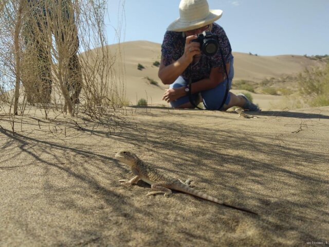 0.singing-dune-almaty-region-(270)