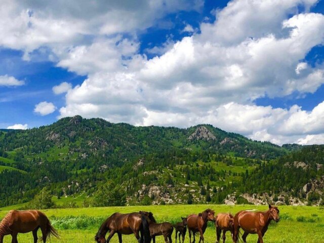 WhatsApp Image 2023-07-20 at 19.20.33 (1)