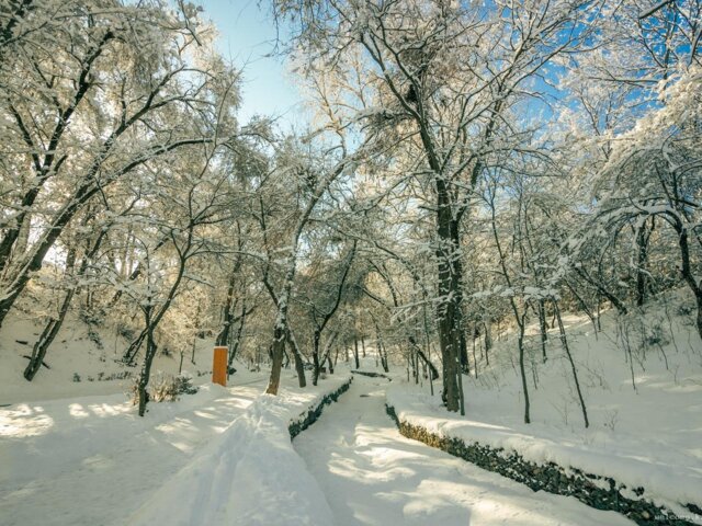 pexels-visit-almaty-15121843 Large