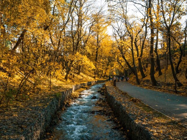 pexels-visit-almaty-10272066 Large