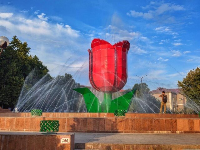 Tulip fountain