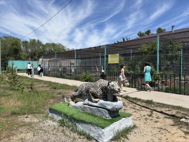 Zoo 27