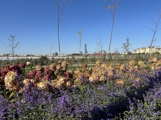 IMG_2842 — крупный размер