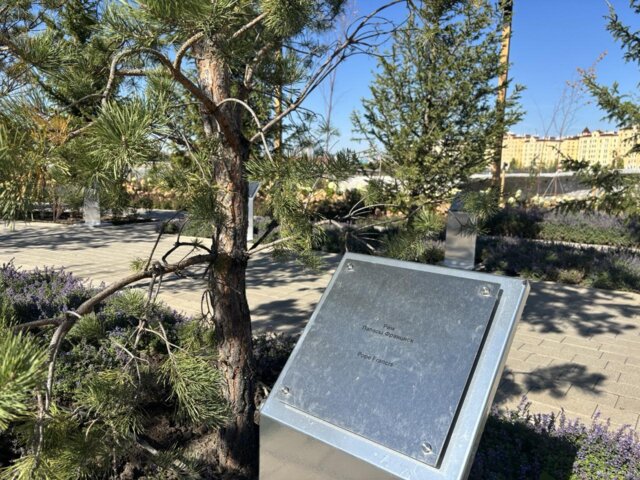 IMG_2838 — крупный размер