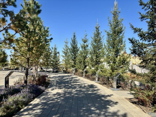 IMG_2829 — крупный размер