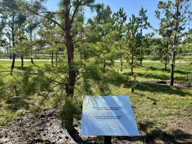 IMG_2851 — крупный размер