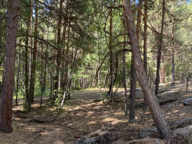 IMG_5772 — крупный размер