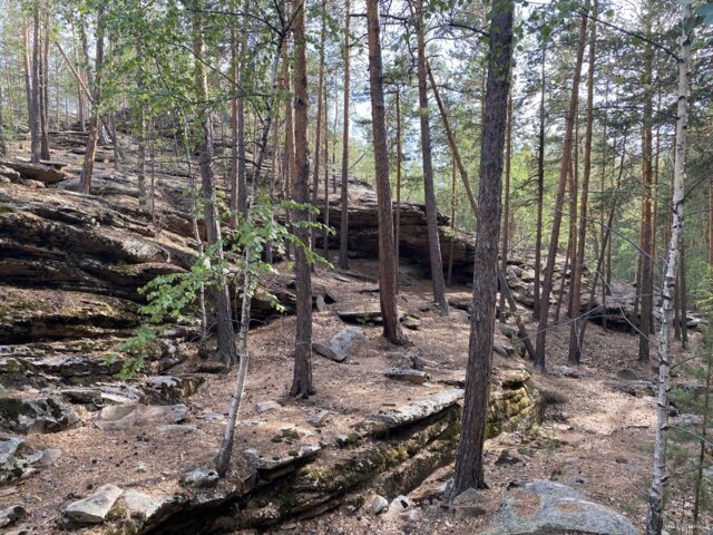 IMG_8510 — крупный размер