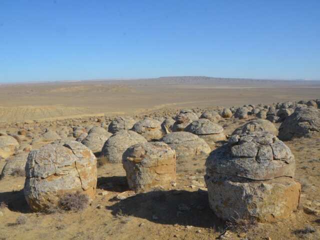 0. Torysh_Mangystau_region (50)