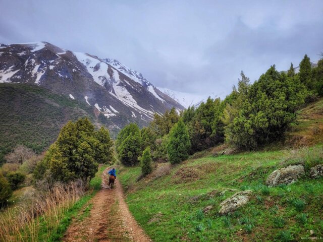 20230415_142033-01 Large