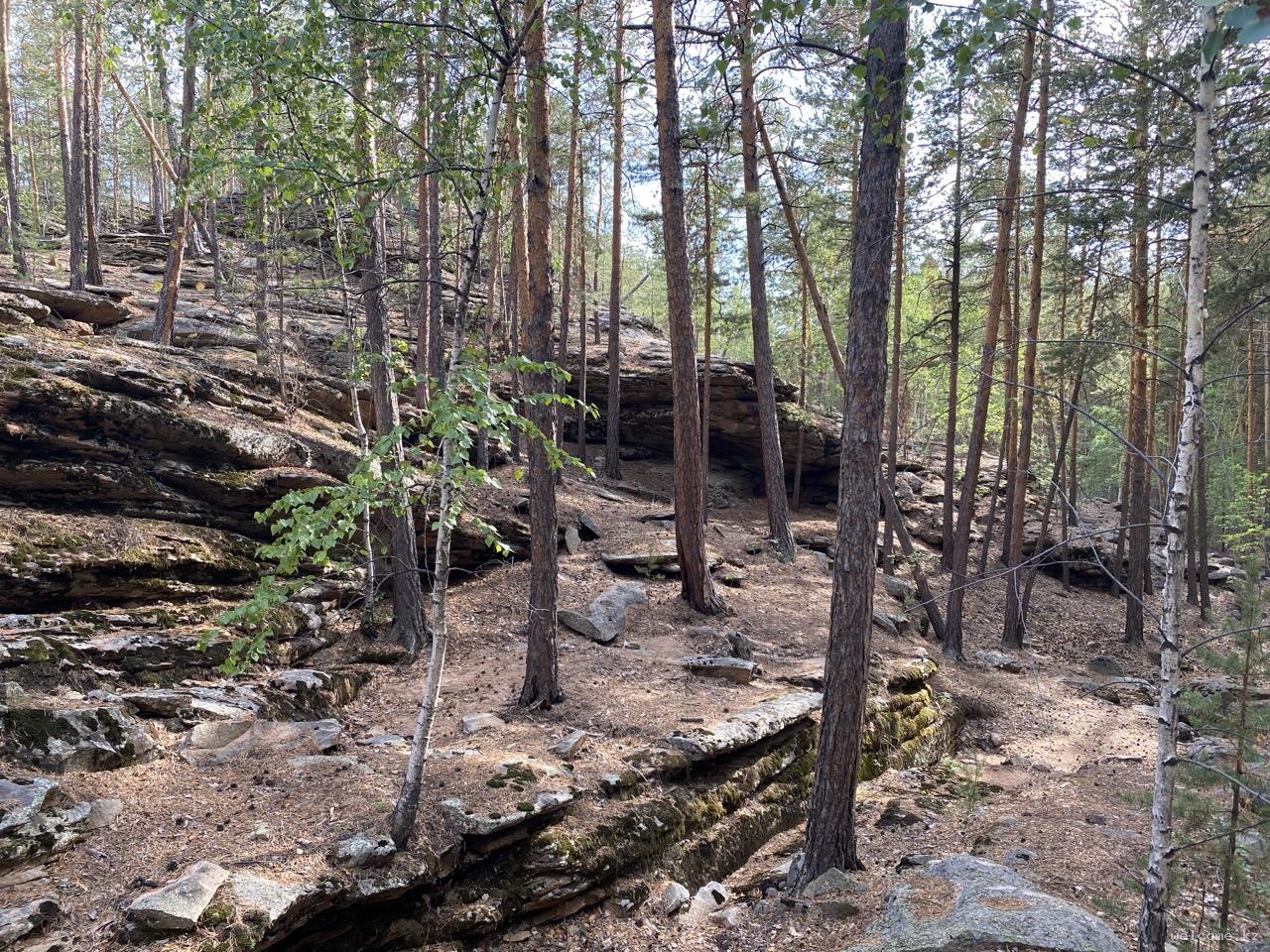 Karkaraly National Park