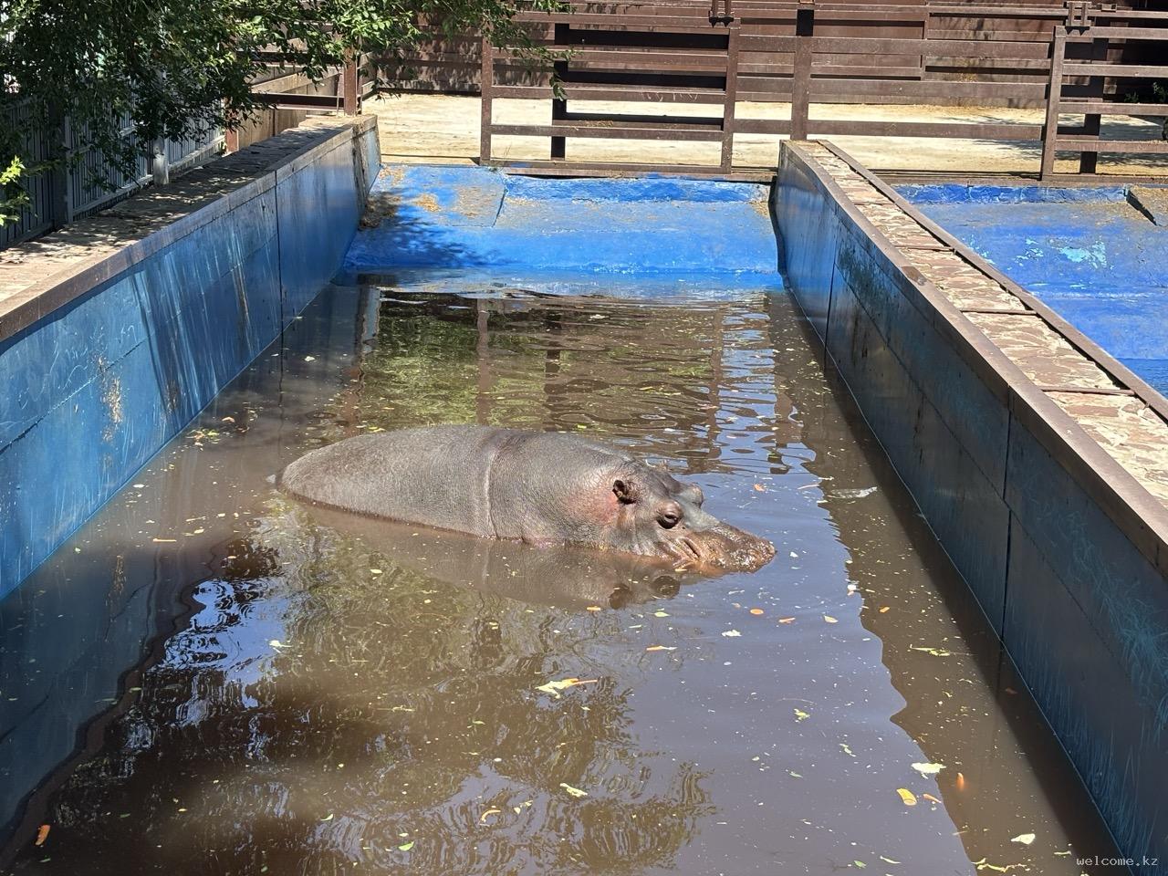 The Best Attractions in Karaganda