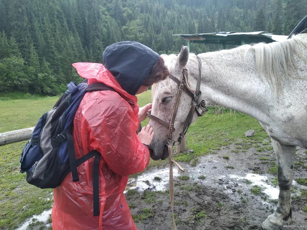 6-day Horseback Tour in Dzungarian Alatau