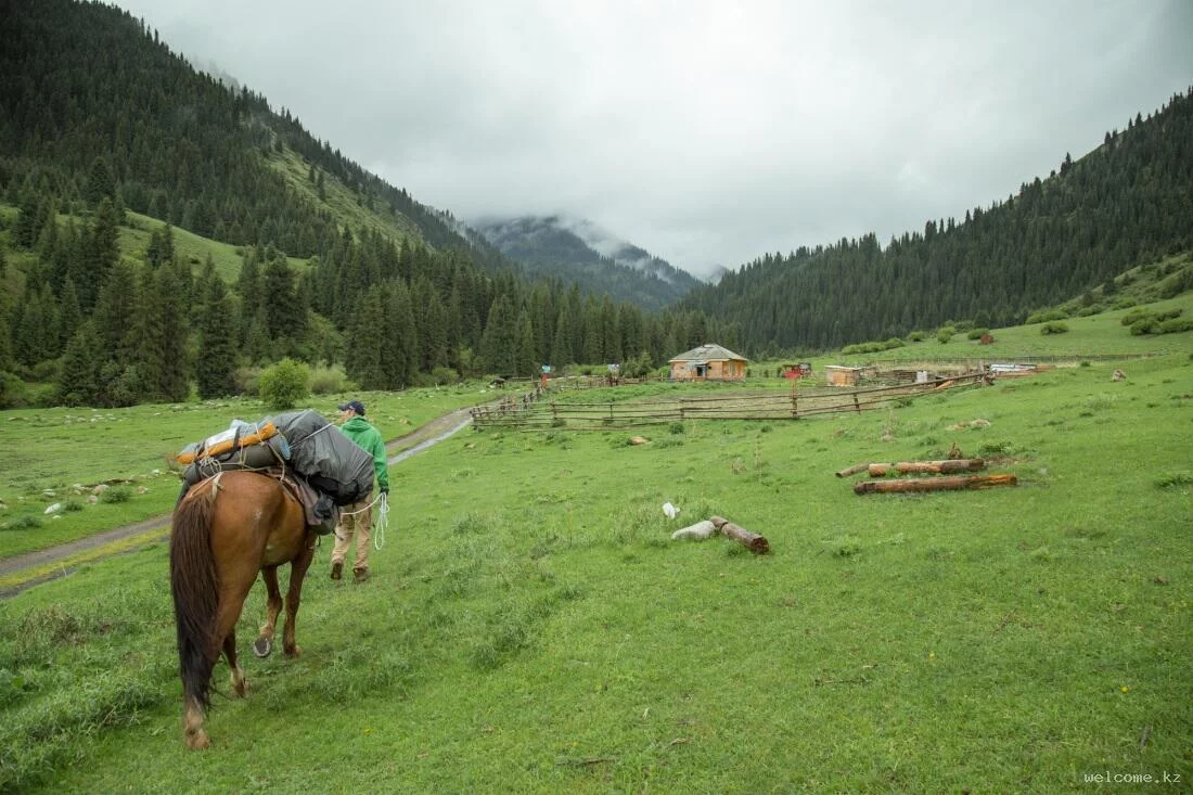 3-day Horseback Tour in Kungey Alatau