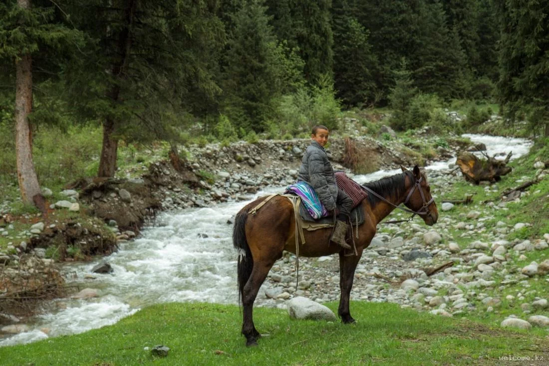 3-day Horseback Tour in Kungey Alatau