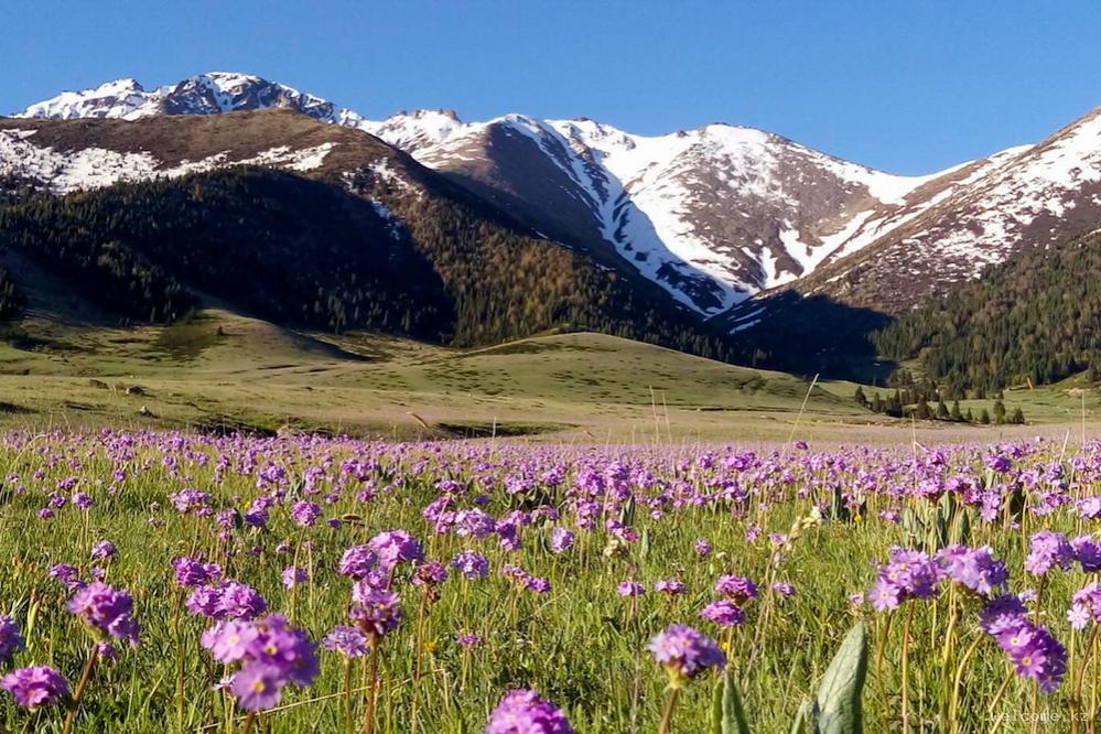 Untamed Dzungaria Off-Road Tour