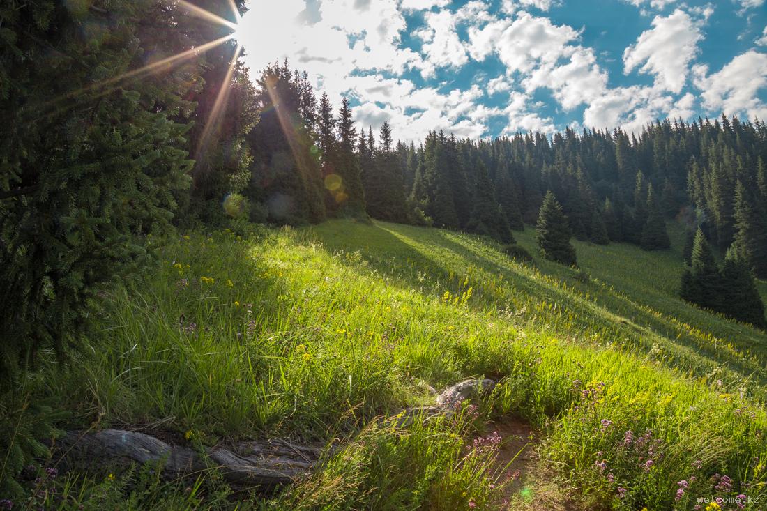 Boukreev Peak Trekking Tour