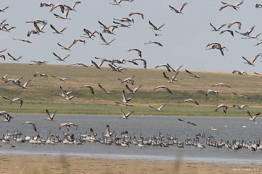 Korgaljyn Nature Reserve One-Day Tour