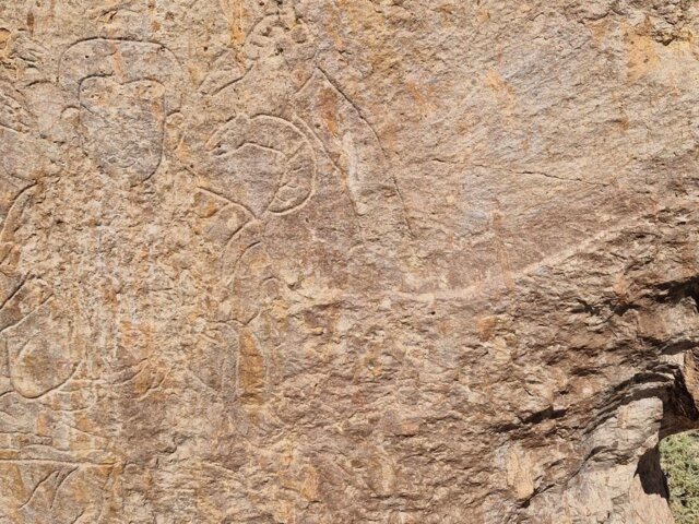 20240801_145250 Large