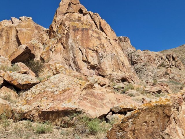 20240801_150432 Large