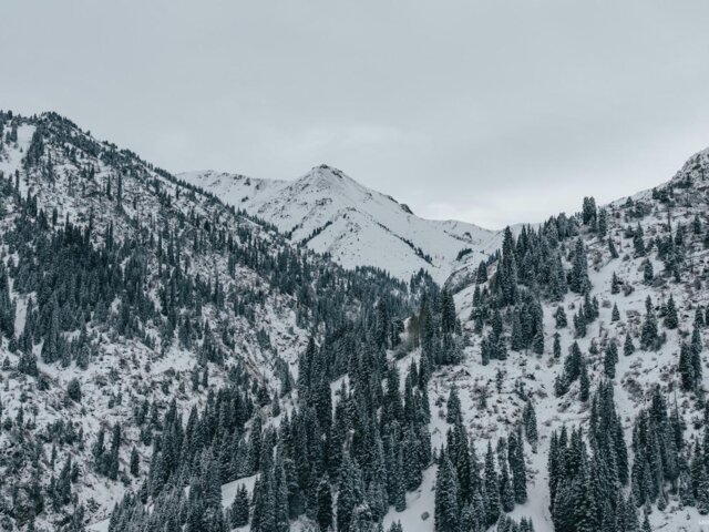 pexels-visit-almaty-14474260 Large