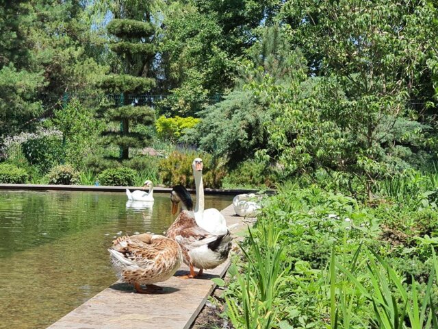 Botanical_Garden_Almaty_Сity (30) Large