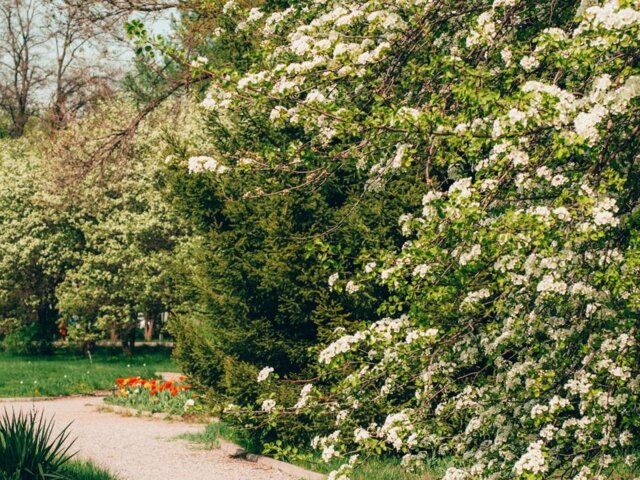 pexels-visit-almaty-11884195 Large