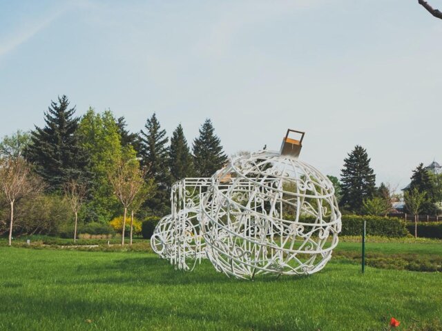 pexels-visit-almaty-11884198 Large