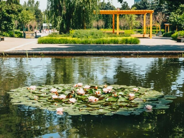 pexels-visit-almaty-12440989 Large