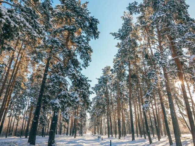 pexels-visit-almaty-15122116 Large