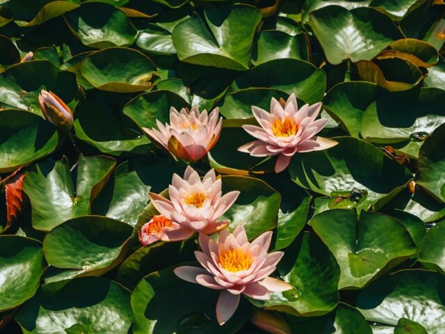 pexels-visit-almaty-12440996 Large