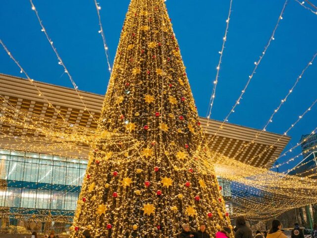 pexels-visit-almaty-14892736 Large