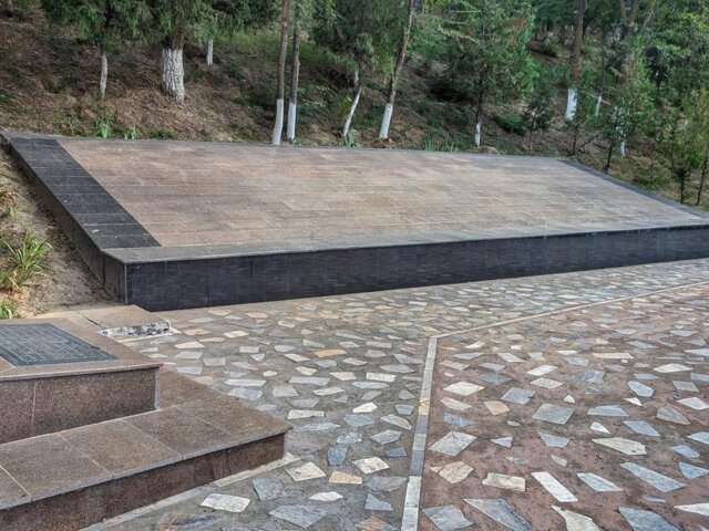 1000085228 Large