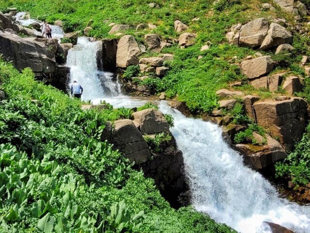 20230611_121056-01 Large