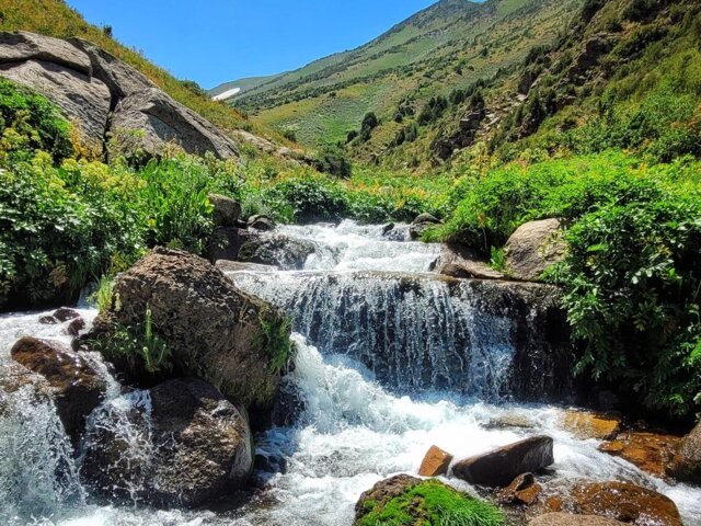 20230722_132308-01 Large