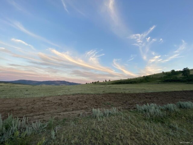 IMG_5872 — крупный размер