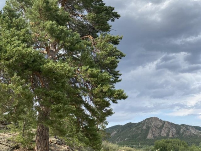 IMG_5714 — крупный размер