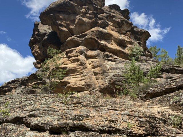 IMG_5891 — крупный размер