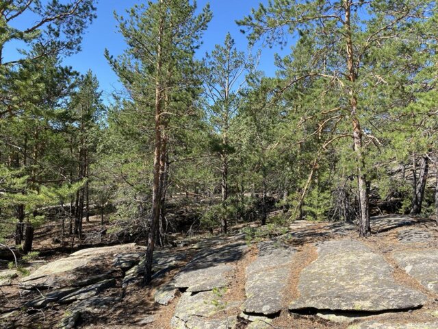 IMG_5780 — крупный размер