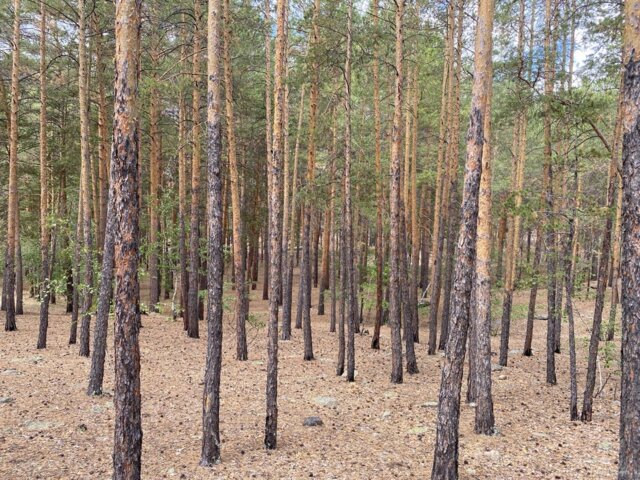 IMG_8582 — крупный размер